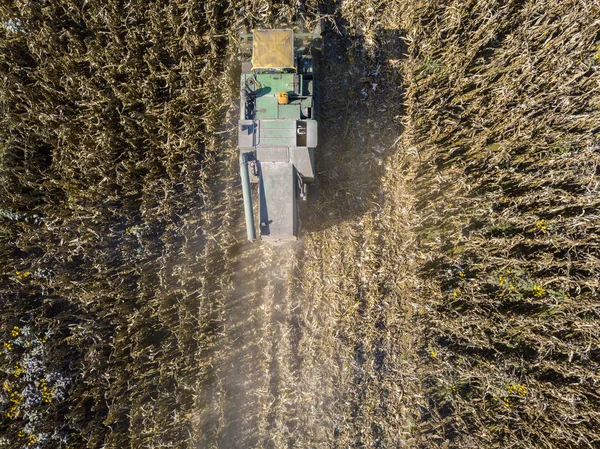 Combine harvester picking seed from fields, aerial view of a field with a combine harvester with cornhusker gathering the crop — Stock Photo, Image