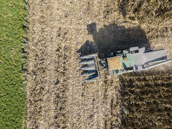 Combine colheitadeira colhendo sementes de campos, vista aérea de um campo com uma colheitadeira com cornhusker recolhendo a cultura — Fotografia de Stock