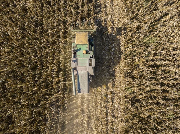 Combineren van harvester plukken zaad uit velden, luchtfoto van een gebied met een combine harvester met cornhusker voor het verzamelen van het gewas — Stockfoto