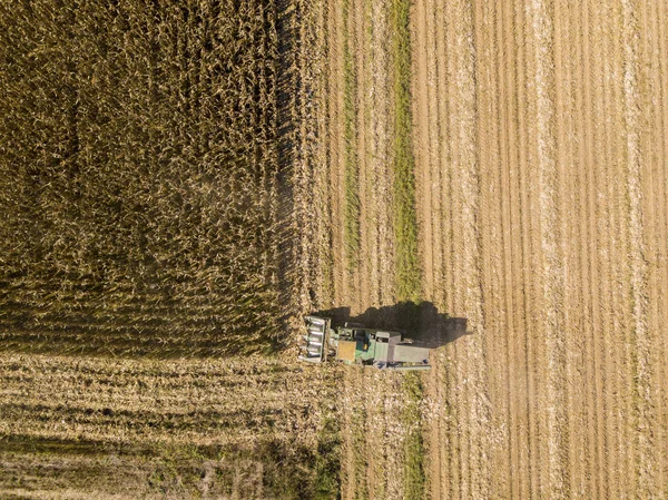 Combine harvester picking seed from fields, aerial view of a field with a combine harvester with cornhusker gathering the crop — Stock Photo, Image