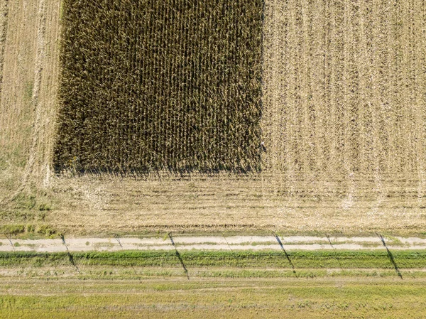 Natur och landskap: Flygfoto över fält, odling, upplöjd fältet, landsbygd, jordbruk — Stockfoto