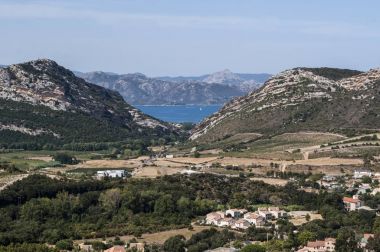 Corsica: panoramik manzara Haute Corse (Upper Corsica), Akdeniz'de arka plan ve Dağları ile çevrili yeşil tepeler, üzüm bağları ve buğday alanları