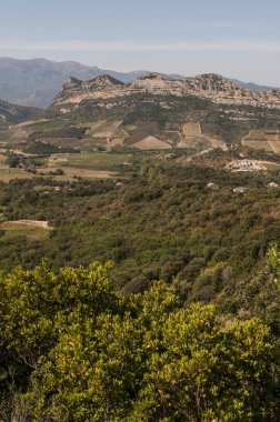 Corsica: panoramik manzara dağlar ile Haute Corse (Upper Corsica), yeşil tepeler, üzüm bağları ve buğday tarafından çevrili alanlar