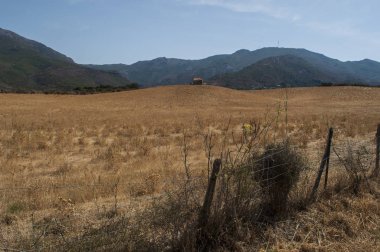 Corsica: buğday alanında Patrimonio, Köyü Haute yeşil tepelerin ve üzüm bağları ile çevrili Corse kırsal kesimde harap bir ev 