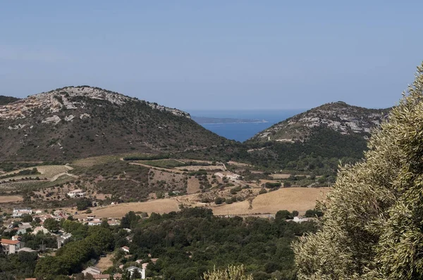 Korsika: panoramautsikt över landskapet i Haute Corse (övre Korsika), med Medelhavet i bakgrunden och bergen omgivet av gröna kullar, vingårdar och vete fält — Stockfoto