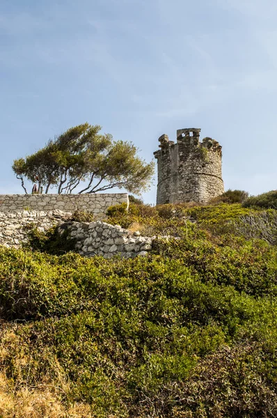 Córcega: vista de la Torre de Ferringule, una torre genovesa del siglo XVI situada en la comuna de Farinole (Haute Corse) en la costa oeste de Cap Corse — Foto de Stock