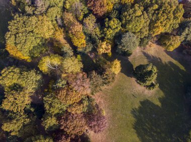 Doğa ve manzara: bir park, sonbahar yaprakları, yapraklı ağaçlar ve çayır, yeşil alan, ekoloji havadan görünümü