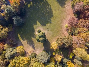 Doğa ve manzara: bir park, sonbahar yaprakları, yapraklı ağaçlar ve çayır, yeşil alan, ekoloji havadan görünümü