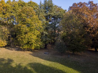 Doğa ve manzara: bir park, sonbahar yaprakları, yapraklı ağaçlar ve çayır, yeşil alan, ekoloji havadan görünümü