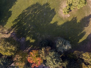 Doğa ve manzara: bir park, sonbahar yaprakları, yapraklı ağaçlar ve çayır, yeşil alan, ekoloji havadan görünümü