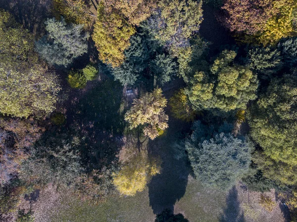 Természet és a táj: felülnézet-ból egy park, őszi lomb, lombos fák és réten, zöld terület, ökológia — Stock Fotó