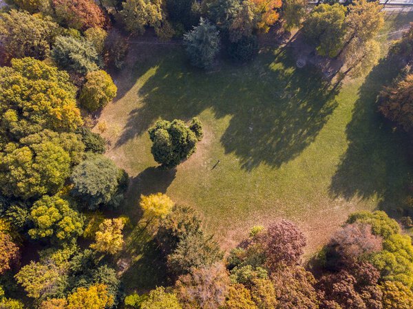 Nature and landscape: aerial view of a park, autumn foliage, leafy trees and meadow, green area, ecology. Bench and table