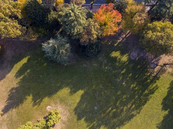 Příroda a krajina: letecký pohled na park, podzimní, listnaté stromy a louka, zelené plochy, ekologie — Stock fotografie