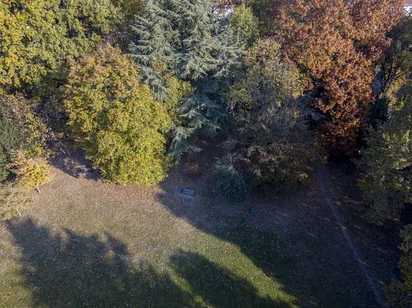 Natuur en landschap: luchtfoto van een park, herfst gebladerte, loofbomen en weide, groene omgeving, ecologie — Stockfoto