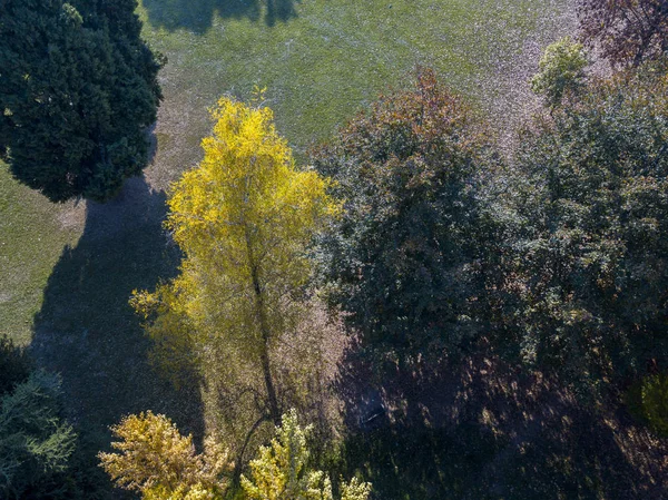 Natuur en landschap: luchtfoto van een park, herfst gebladerte, loofbomen en weide, groene omgeving, ecologie — Stockfoto