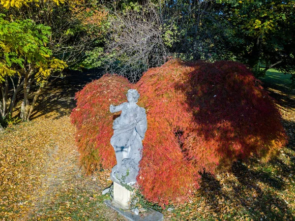 Nature and landscape: aerial view of a statue in a park, autumn foliage, leafy trees and meadow, green area, ecology. Park of a villa in the hinterland of Milan — Stock Photo, Image