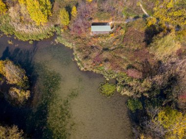 Doğa ve manzara: havadan görünümü bir orman ve doğal bir yolu, sonbahar yaprakları, yeşillik ve ağaçlar, açık yürür, yaban hayatı. Yeşillik