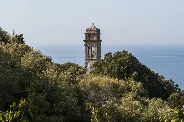 Корсика: Средиземноморский маки с видом на колокольню церкви в Пино, деревня Haute-Corse на западной стороне Cap Corse, северный полуостров известен дикими пейзажами — стоковое фото