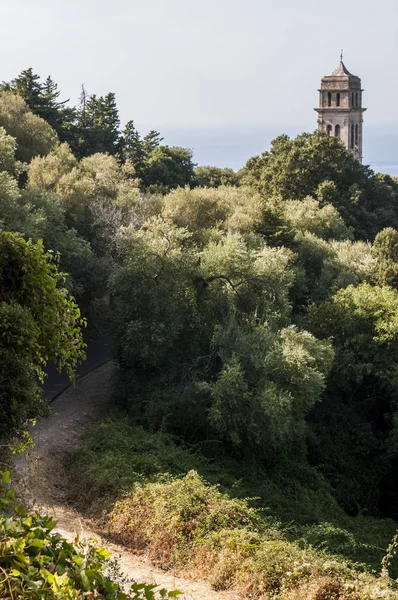 Corsica: macchia mediterranea con vista sul campanile della chiesa di Pino, villaggio dell'Alta Corsica sul lato occidentale di Cap Corse, penisola settentrionale famosa per i paesaggi selvaggi — Foto Stock