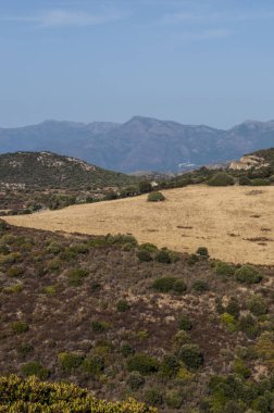 Corsica, 30/08/2017: manzarası ve Haute-Corse Akdeniz ile tabiat manzarası arka plan ve yeşil tepeler, üzüm bağları ve buğday alanları çevrili dağlar