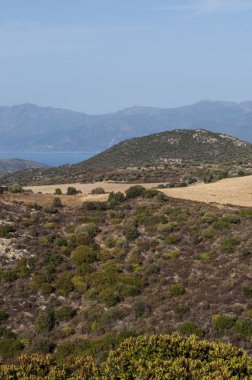 Corsica, 30/08/2017: manzarası ve Haute-Corse Akdeniz ile tabiat manzarası arka plan ve yeşil tepeler, üzüm bağları ve buğday alanları çevrili dağlar