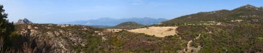 Corsica, 30/08/2017: manzarası ve Haute-Corse Akdeniz ile tabiat manzarası arka plan ve yeşil tepeler, üzüm bağları ve buğday alanları çevrili dağlar