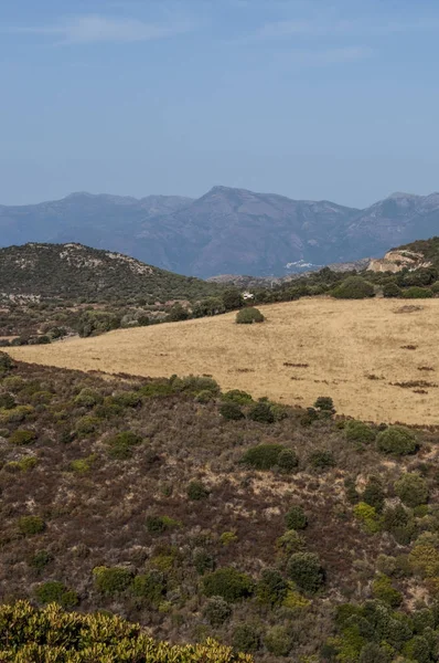Corsica, 30/08/2017: manzarası ve Haute-Corse Akdeniz ile tabiat manzarası arka plan ve yeşil tepeler, üzüm bağları ve buğday alanları çevrili dağlar