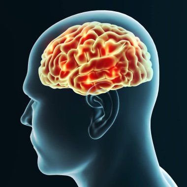 Beyin, dejeneratif hastalıkları, Alzheimer, Parkinson, insan vücudu, yüz. 3D render