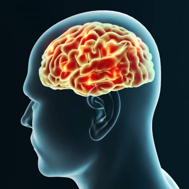 Brain, degenerative diseases,Alzheimer's, Parkinson's, human body, face. 3d rendering clipart