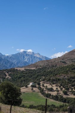 Corsica, 31/08/2017: iç Tabiat Manzarası ağaç görünümünü ve meadowland Asco Vadisi denilen Korsika yüksek Merkezi