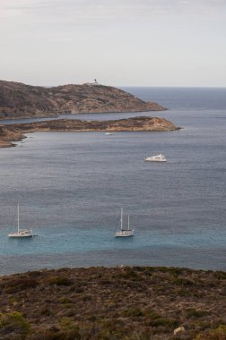 Corsica, 03/09/2017: Pointe De La Revellata, cape Revellata deniz feneri, 1844 yılında açılışını bir deniz feneri manzaralı Calvi şehrin batısında adanın kuzeybatı kıyısında 