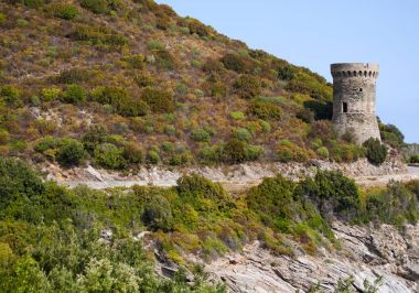 Corsica, 27/08/2017: Tower Losse veya l'Osse (1599), Cagnano (Haute Corse) komün Cap Corse doğu kıyısında dolambaçlı yol boyunca harap bir Ceneviz Kulesi Kulesi
