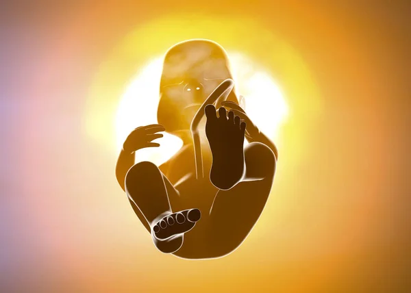 妊娠中の女性 子宮内の子供 腹セクションと胎児の成長 — ストック写真