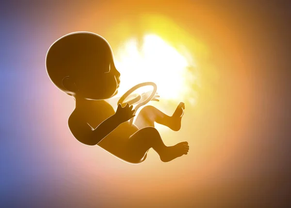 Mujer Embarazada Niño Útero Sección Abdominal Crecimiento Fetal — Foto de Stock