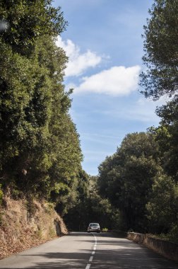 Corsica, 28/08/2017: Cap Corse, onun tabiat manzarası için ünlü adanın kuzey yarımadanın iç dolambaçlı yol