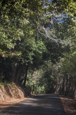 Corsica, 28/08/2017: Cap Corse, onun tabiat manzarası için ünlü adanın kuzey yarımadanın iç dolambaçlı yol