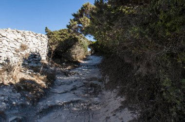 Corsica, 05/09/2017: patika uluslararası Bouches de Bonifacio deniz park, Bonifacio Boğazı beyaz kireç üst 1993 yılında Fransa ve İtalya tarafından kurulan doğa rezerv