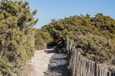 Corsica, 05/09/2017: patika uluslararası Bouches de Bonifacio deniz park, Bonifacio Boğazı beyaz kireç üst 1993 yılında Fransa ve İtalya tarafından kurulan doğa rezerv