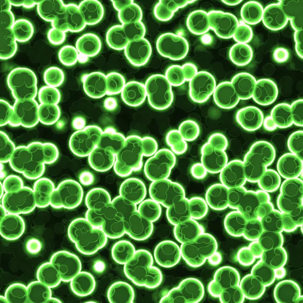 Buňky Malé Struktura Každého Živého Organismu Jsou Schopni Samostatně Žít — Stock fotografie