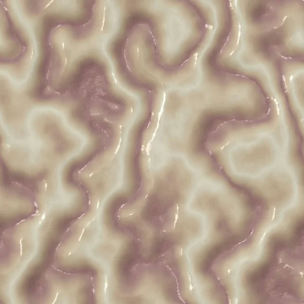 Brain Texture Part Brain Section Connective Tissue — Stock Photo, Image