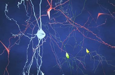 Brain, neurons, synapses, neural network circuit of neurons, degenerative diseases, Parkinson, 3d rendering clipart
