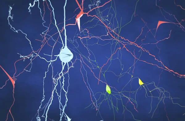 Brain, neurons, synapses, neural network circuit of neurons, degenerative diseases, Parkinson, 3d rendering