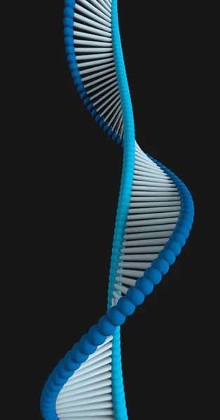 Dna デオキシリボ核酸 ヌクレオチド 機能とすべての既知の生物と多くのウイルスの複製使用される遺伝的命令を運ぶのスレッドのようなチェーンです Dna の螺旋形 — ストック写真