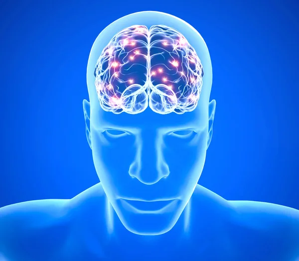 Degenerative Erkrankungen Des Gehirns Parkinson Synapsen Neuronen Alzheimer Rendering lizenzfreie Stockfotos