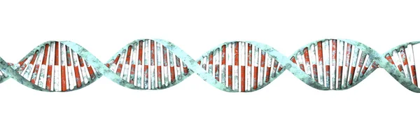 Dna Kwasu Dezoksyrybonukleinowego Jest Nitkowatych Łańcucha Nukleotydów Prowadzenie Genetycznych Instrukcji — Zdjęcie stockowe