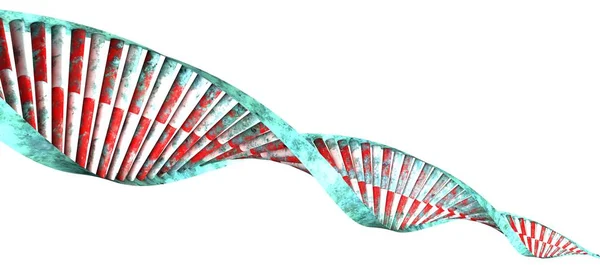 Dna デオキシリボ核酸 ヌクレオチド 機能とすべての既知の生物と多くのウイルスの複製使用される遺伝的命令を運ぶのスレッドのようなチェーンです Dna の螺旋形 — ストック写真