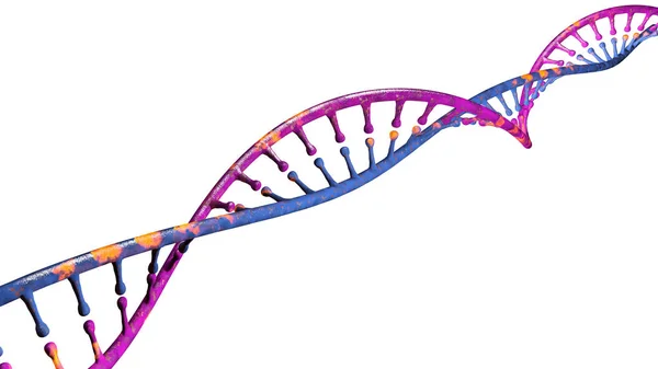 Dna Deoxyribonucleic Acid Een Draad Achtige Keten Van Nucleotiden Uitvoering — Stockfoto