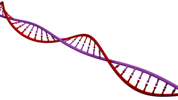 Dna Deoxyribonucleic Acid Een Draad Achtige Keten Van Nucleotiden Uitvoering — Stockfoto