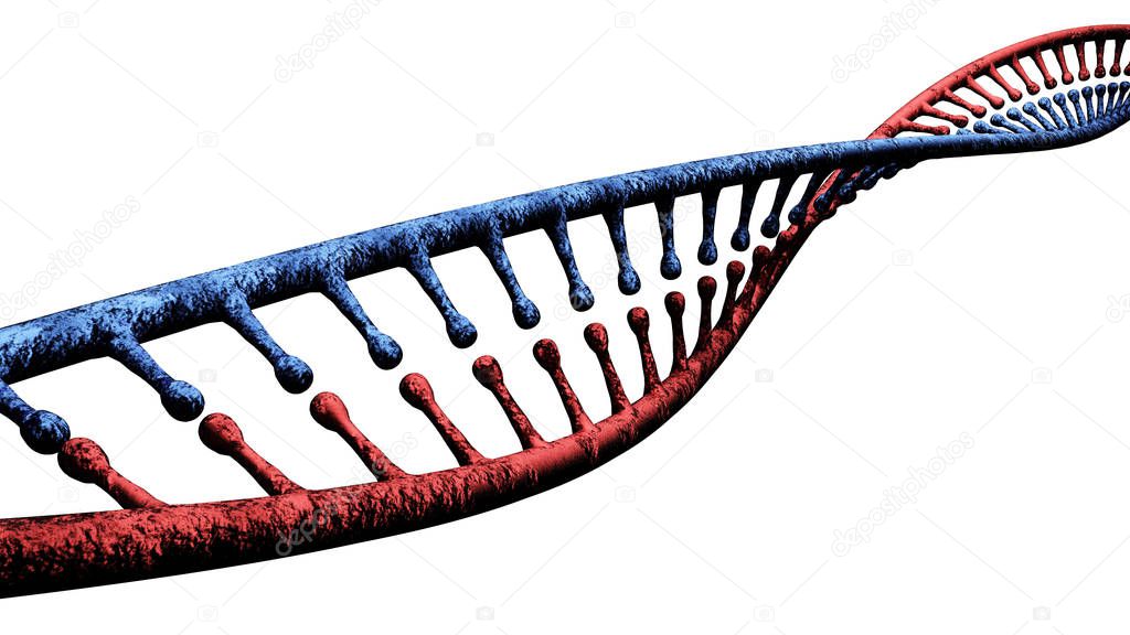 DNA, Deoxyribonucleic acid is a thread-like chain of nucleotides carrying the genetic instructions used in the growth, development, functioning and reproduction of all known living organisms and many viruses. DNA helix