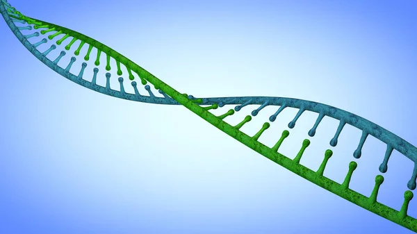 Dna Deoksiribonükleik Asit Nükleotit Büyüme Gelişme Işleyişi Bilinen Tüm Canlılar — Stok fotoğraf